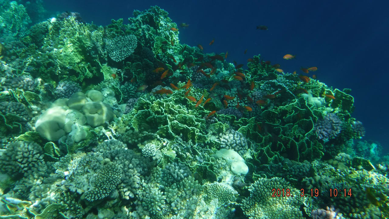 Strand Serenity Alpha Beach