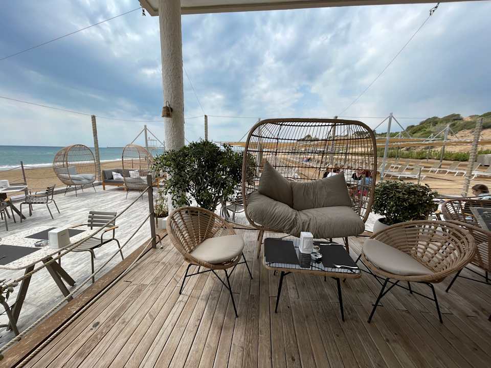 Strand Seashell Vega