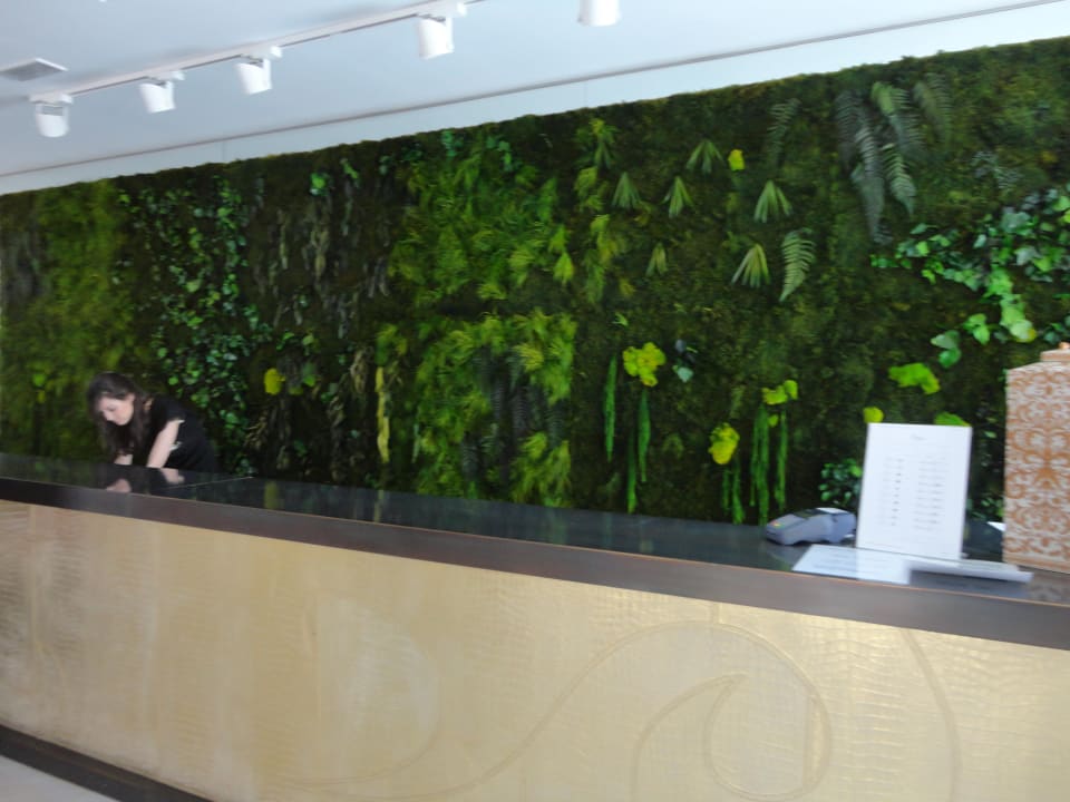 Recepcja Diamond Deluxe Hotel & SPA