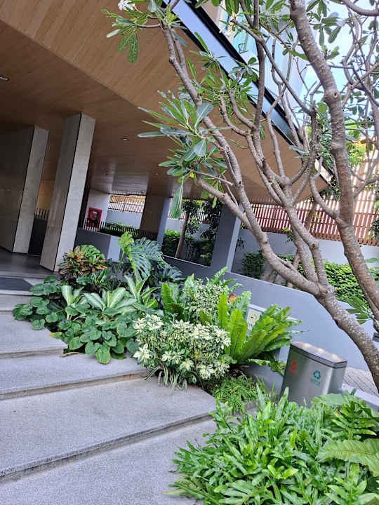 Gartenanlage Hotel Amber Pattaya