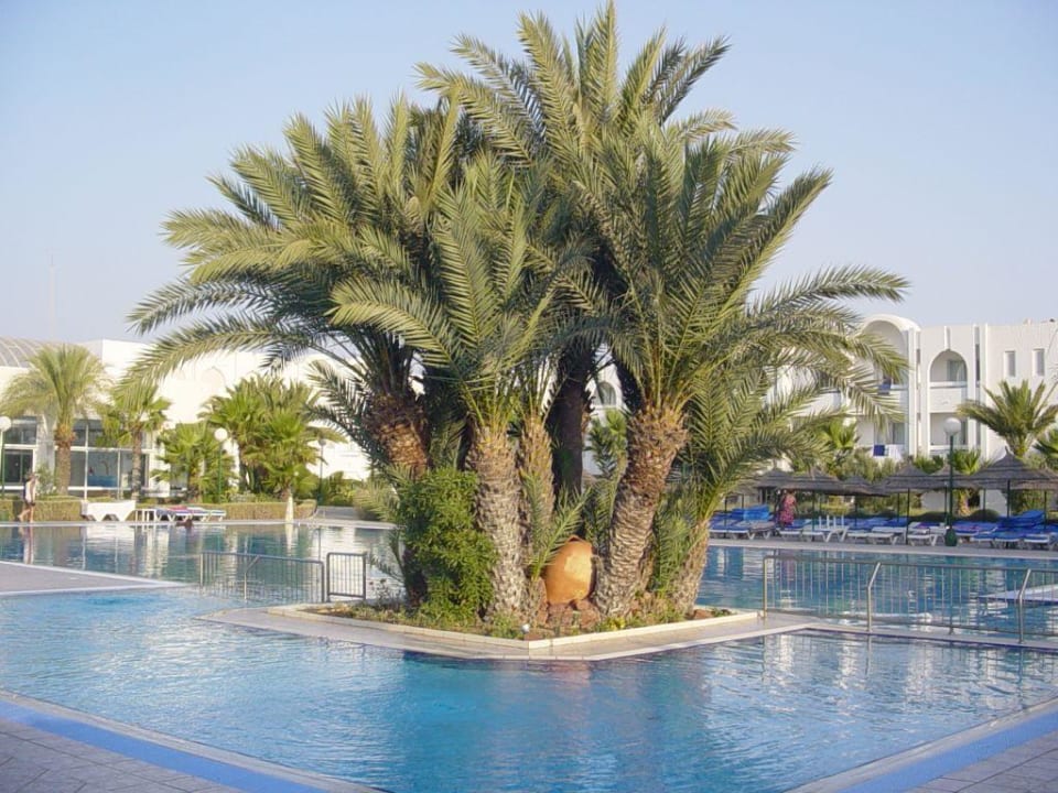 Pool Iberostar Waves Mehari Djerba
