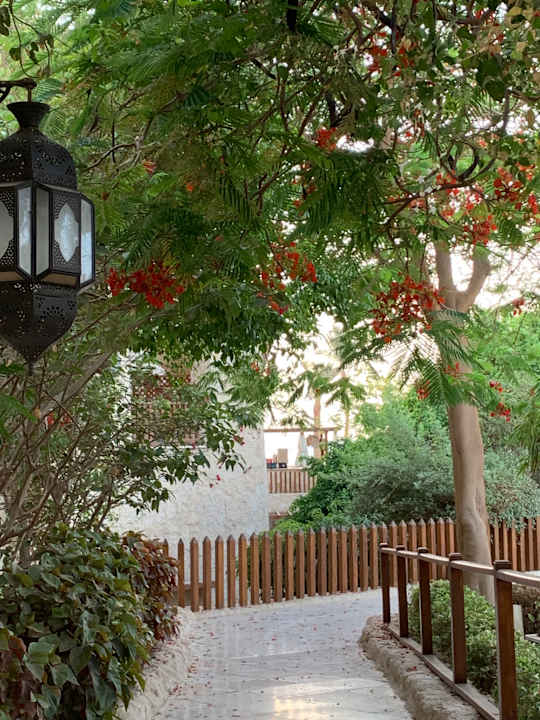 Gartenanlage Makadi Spa - Adults only