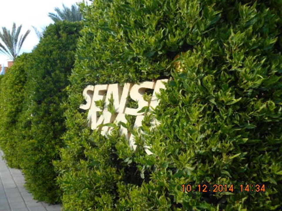 Wunderschön eingebettet Jaz Makadi Blue - TUI BLUE Makadi - Adults Friendly 16 Years Plus