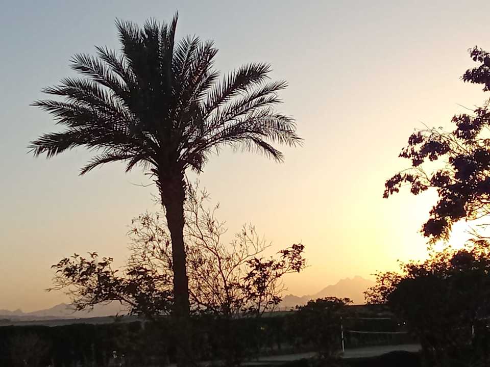 Ausblick Lemon & Soul Makadi Garden