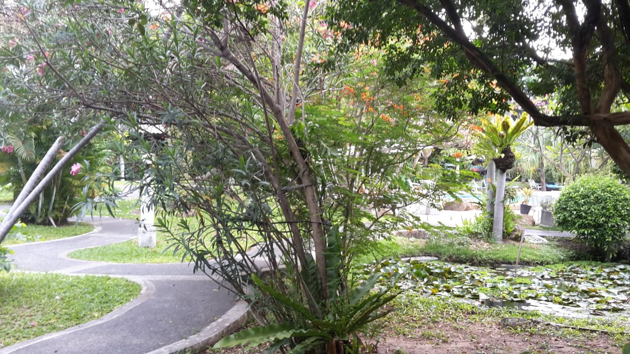 Gartenanlage Hotel The Cottage