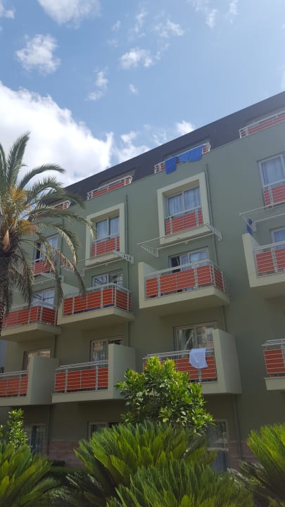 Zimmer AQI Pegasos World