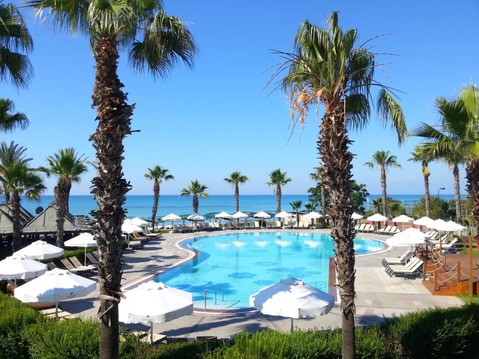 Relaxpool Papillon Belvil