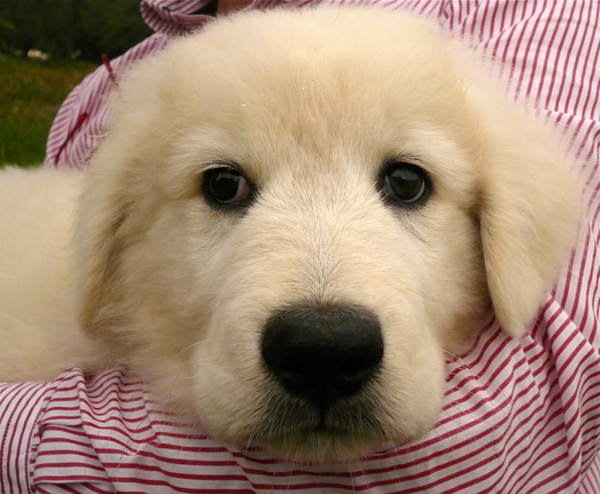 Sonstiges Ventena Vecchia antico frantoio