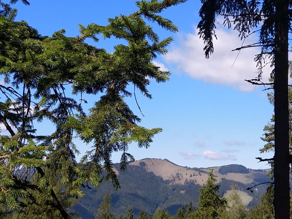Ausblick Naturhotel Bauernhofer