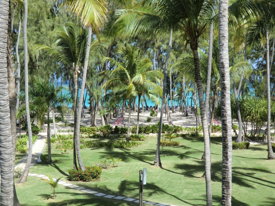 Ausblick zum Meer Vista Sol Punta Cana