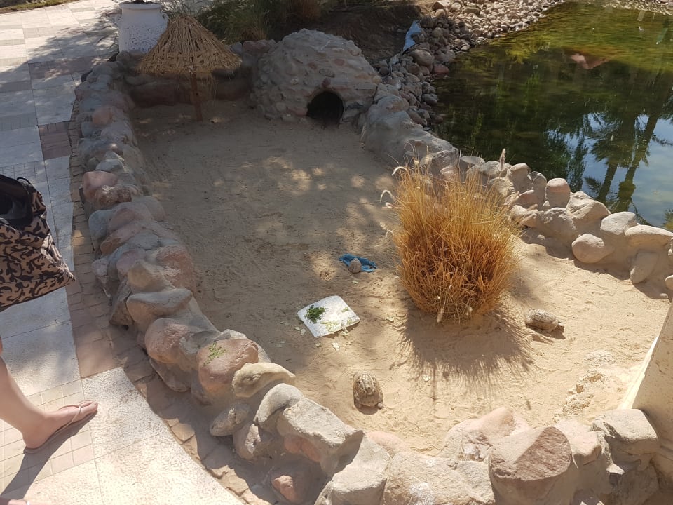 Gartenanlage Makadi Palace