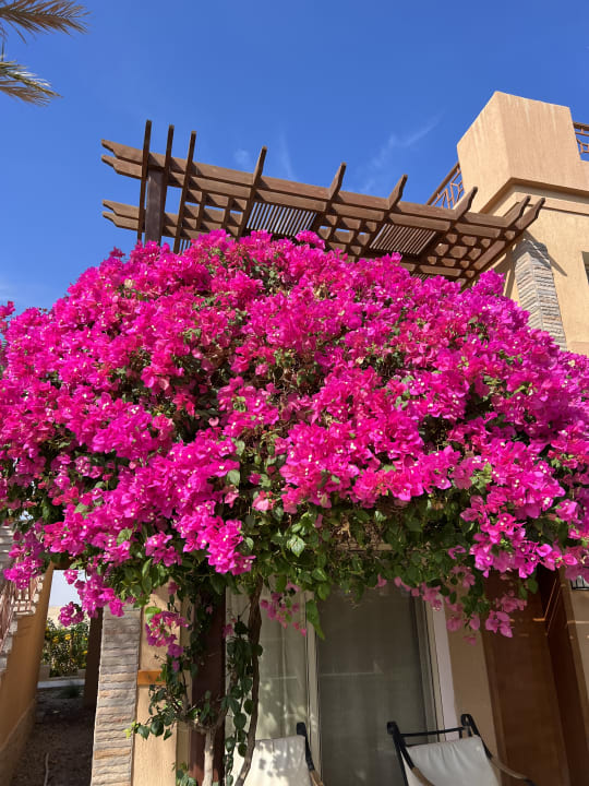 Gartenanlage Shams Prestige Abu Soma-Adults Only