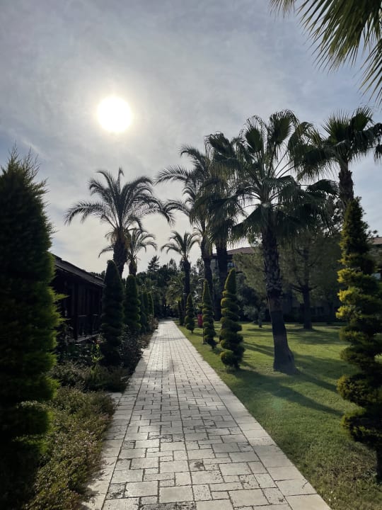 Außenansicht Calimera Serra Palace