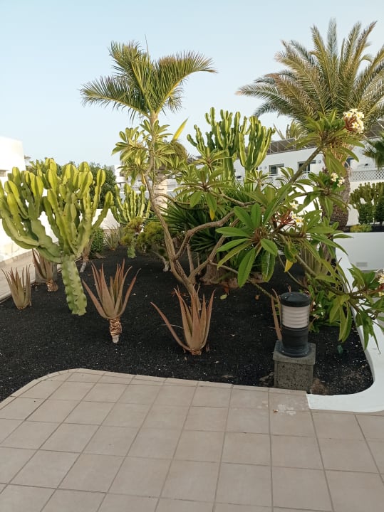 Gartenanlage Hotel Las Costas