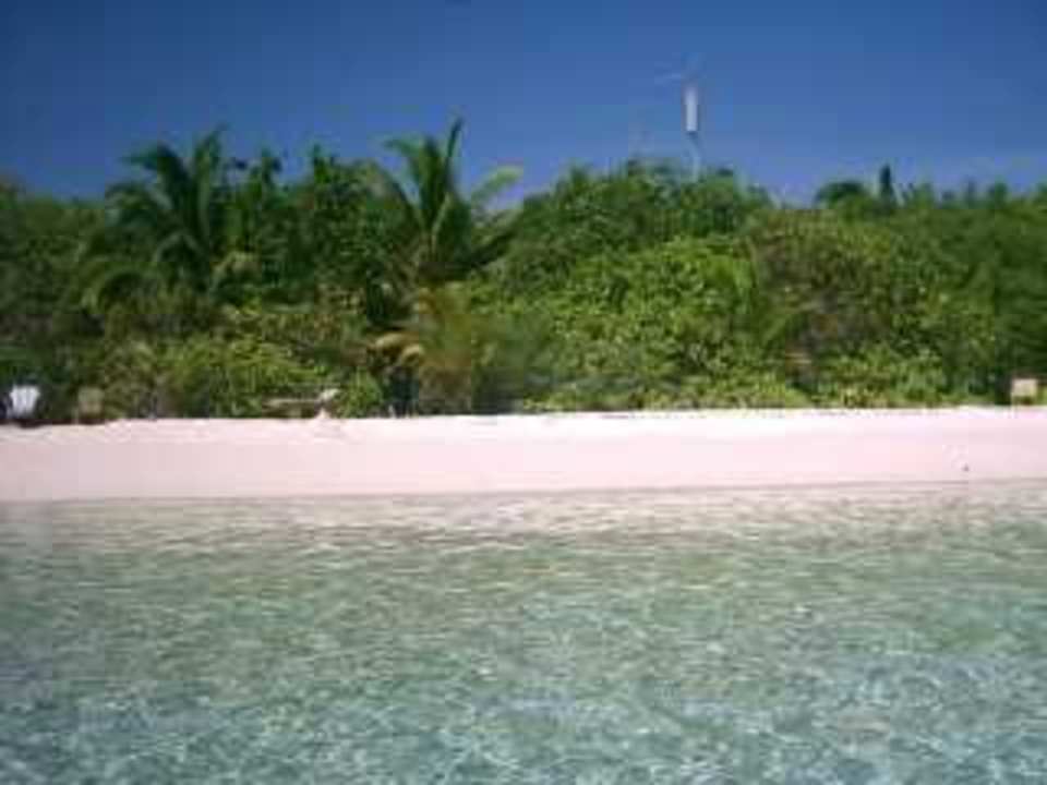 Insel vom Wasser aus Eri Maldives