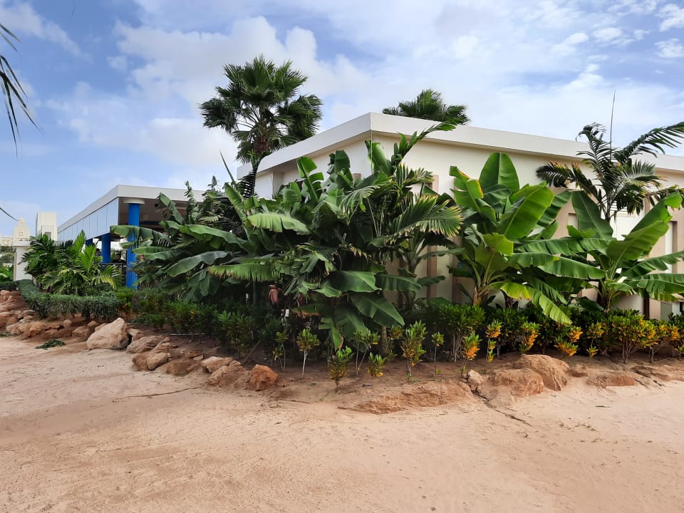 Außenansicht Hotel Riu Palace Boavista