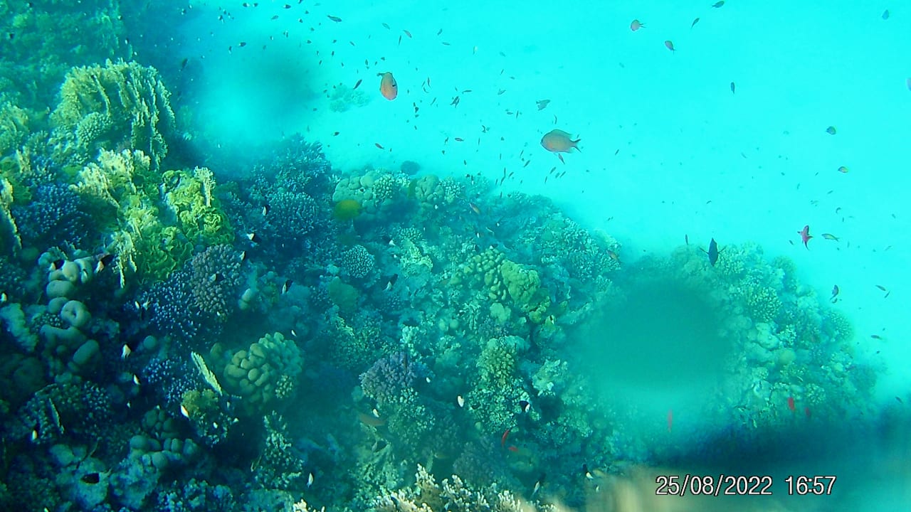 Sport & Freizeit Malikia Resort Abu Dabbab