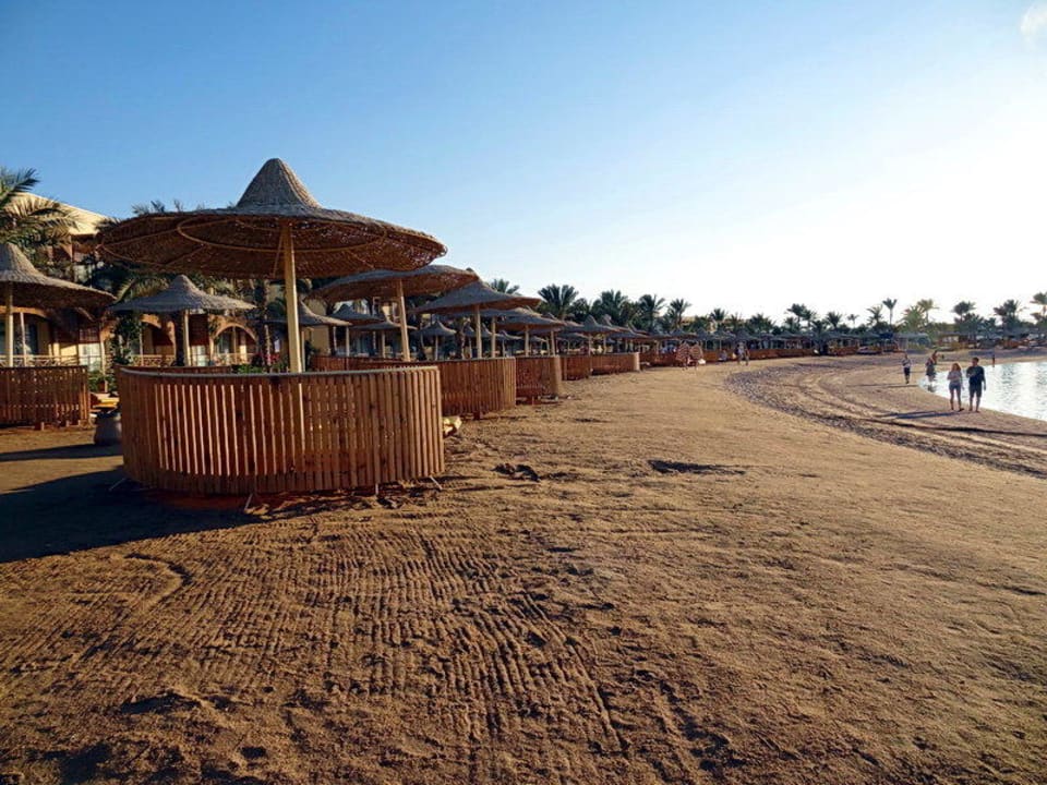 An der Lagune Desert Rose