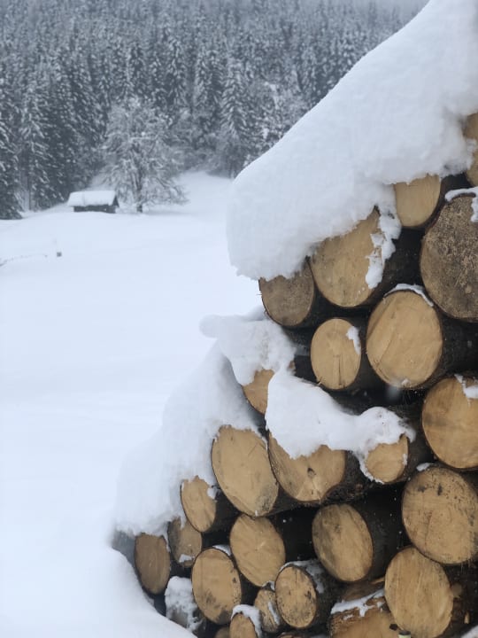 Sonstiges Ferienwohnungen Knaller-Möd