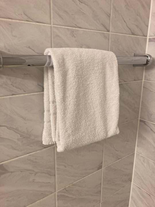 Zimmer Best Western Parkhotel Brehna - Halle