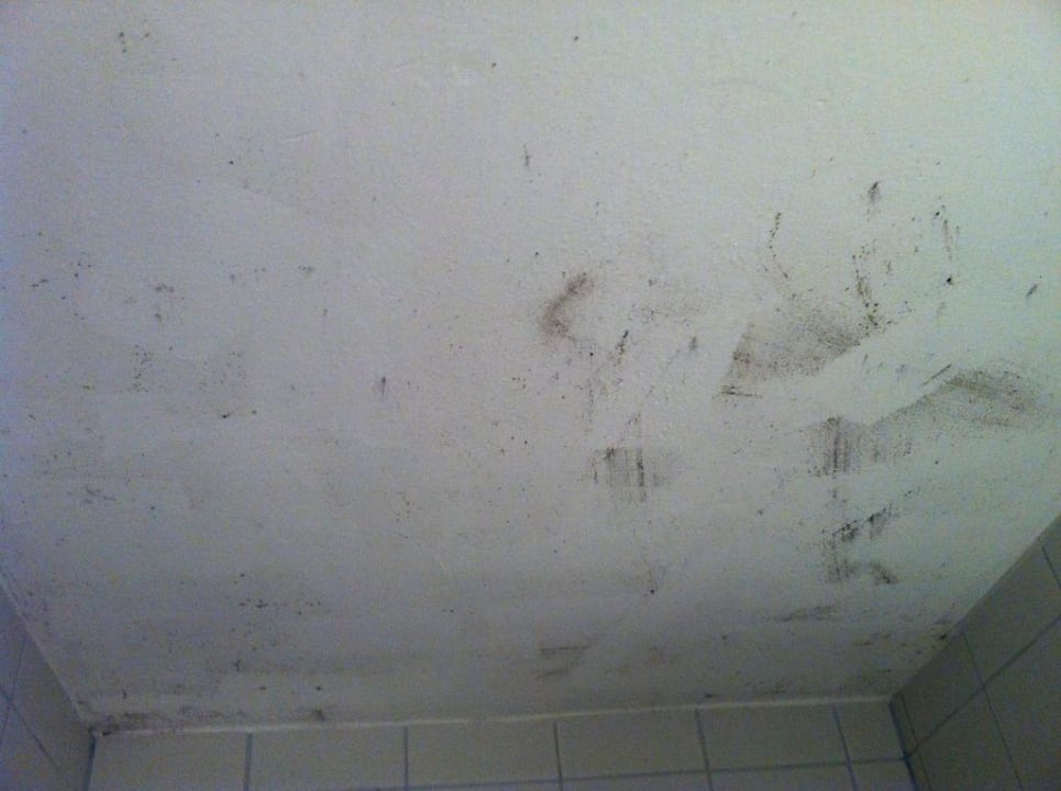 Schimmel an der Decke Hotel Gasthof Stegerbräu