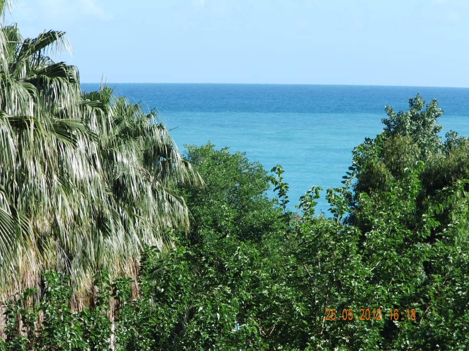 Garten und Meer Hotel Gardenia Beach