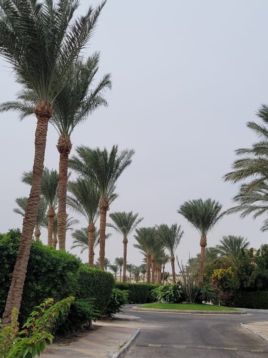 Außenansicht Jaz Makadi Oasis Resort