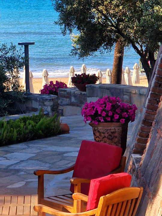 Gartenanlage Arum Barut Collection