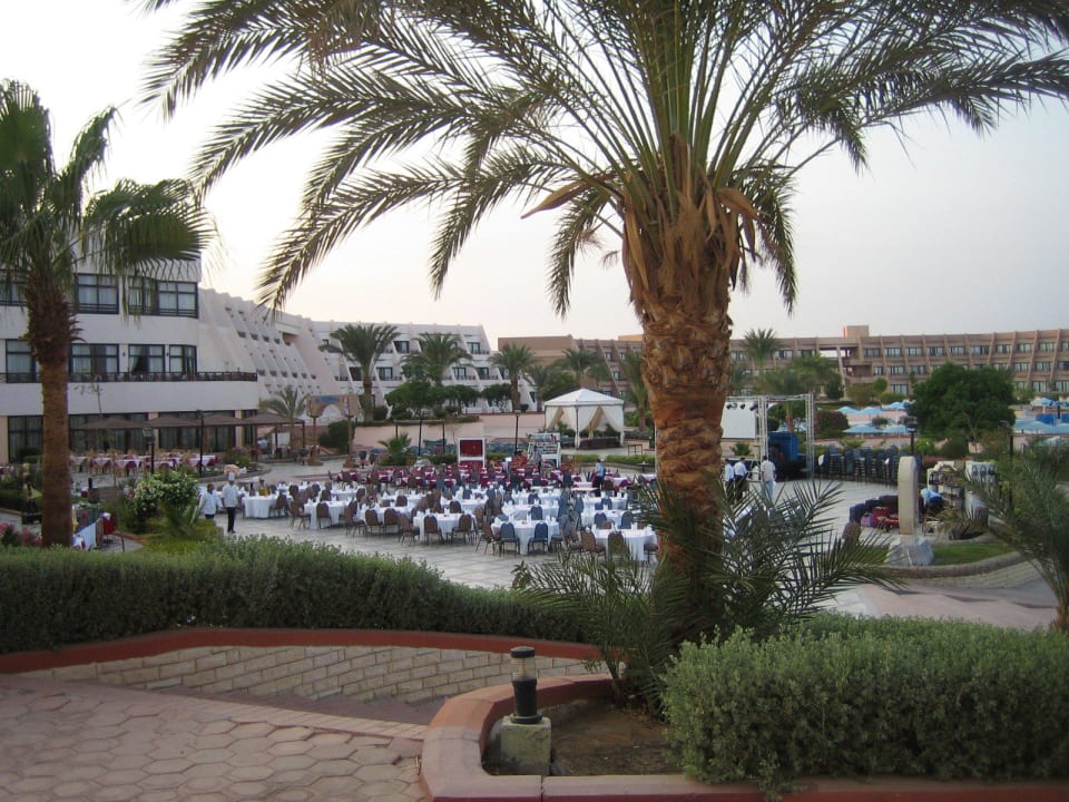 Вид из номера на бассейн Pharaoh Azur Resort