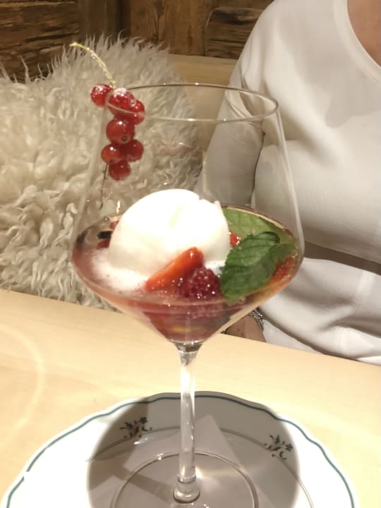 Gastro Hotel Schlehdorn