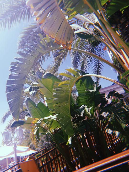 Sonstiges Quattro Beach Spa & Resort