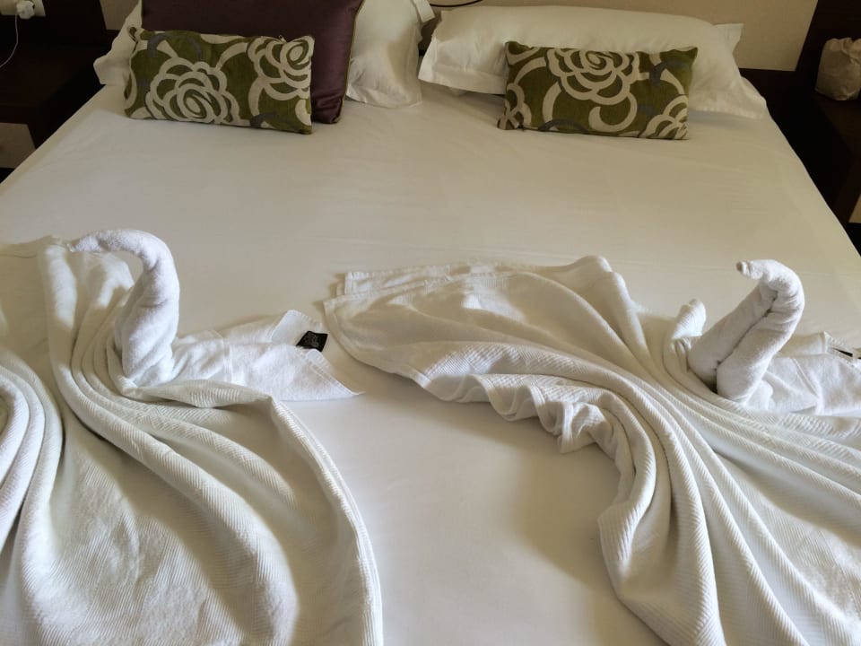 Die Putzfrau hat gute Arbeit geleistet. Side Alegria Hotel & Spa - Adults only +16