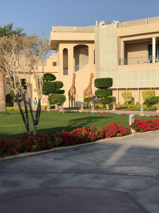 Außenansicht Pickalbatros Royal Moderna Resort-Sharm El Sheikh