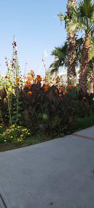 Gartenanlage Aqua Fantasy Aquapark Hotel & Spa