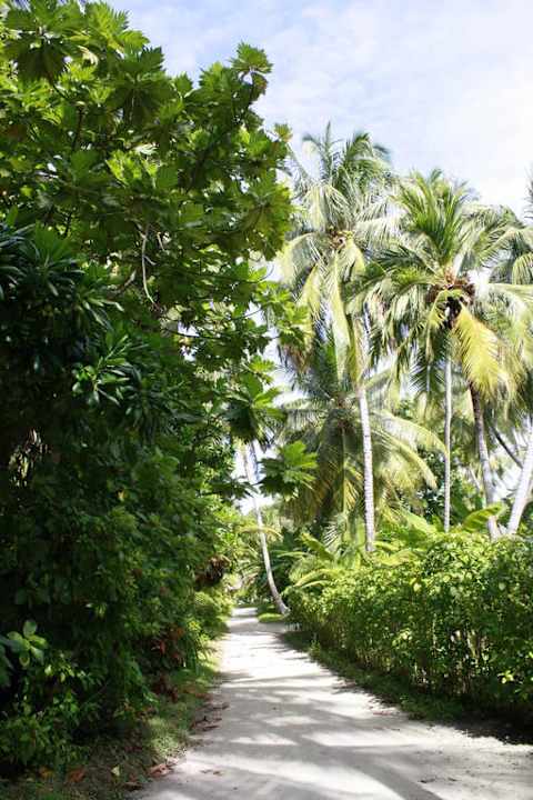 Wege auf der Insel Kuramathi Maldives