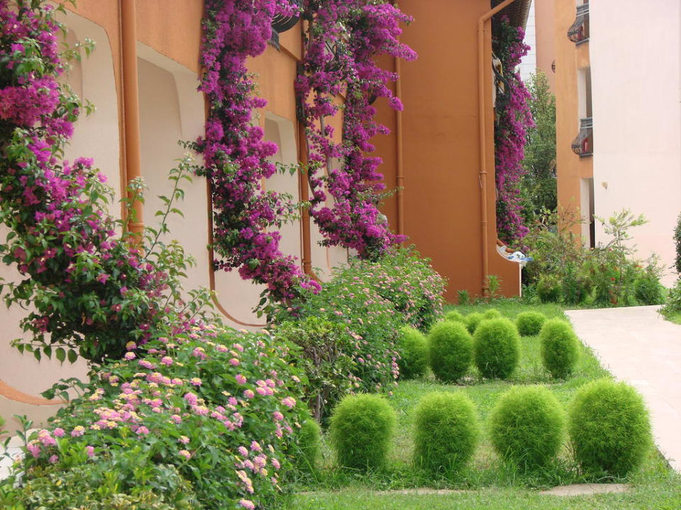 На территории отеля Club Turtas Beach Hotel