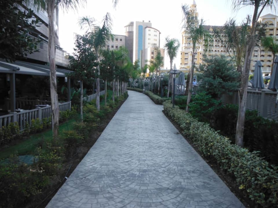 Royal Seginus Royal Seginus