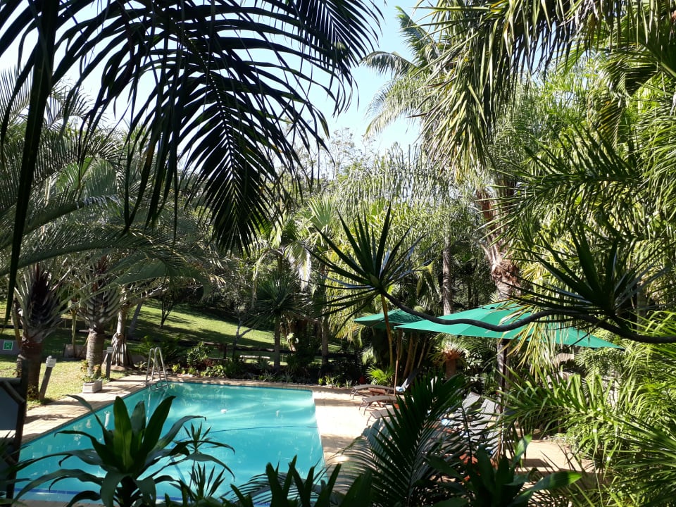 Pool The Sandpiper  Gästehaus