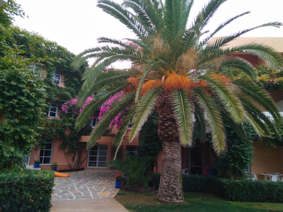 Gartenanlage Anissa Beach & Village