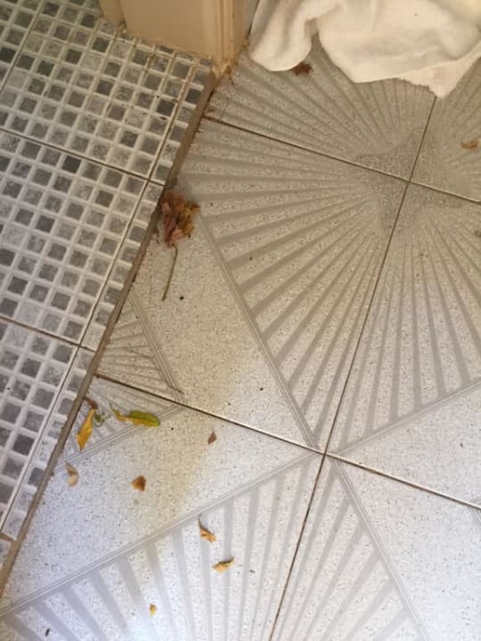 Sprzątanie Elounda Residence Resort & Waterpark