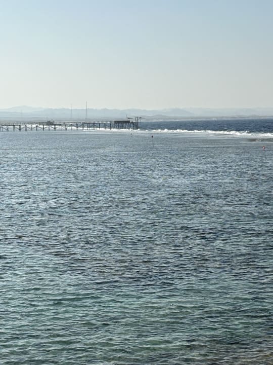 Strand Pickalbatros Sea World Resort - Marsa Alam