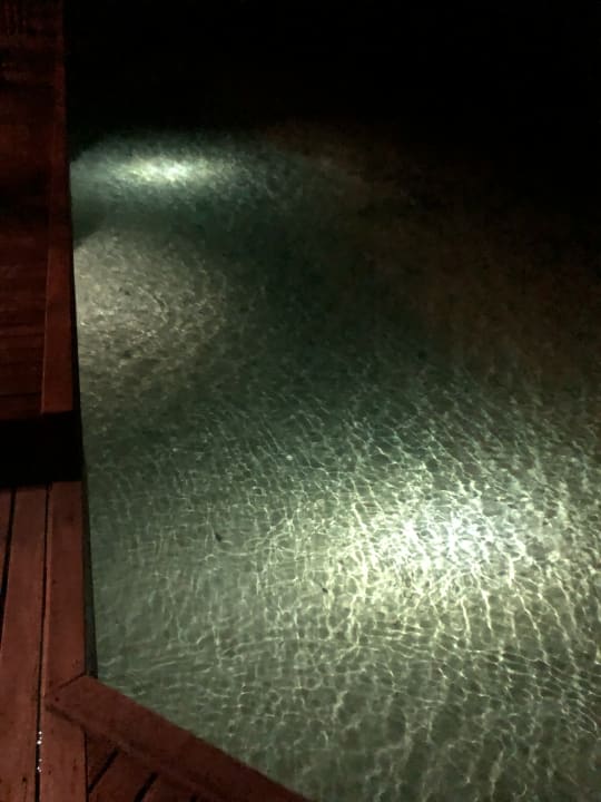 Strand Summer Island Maldives