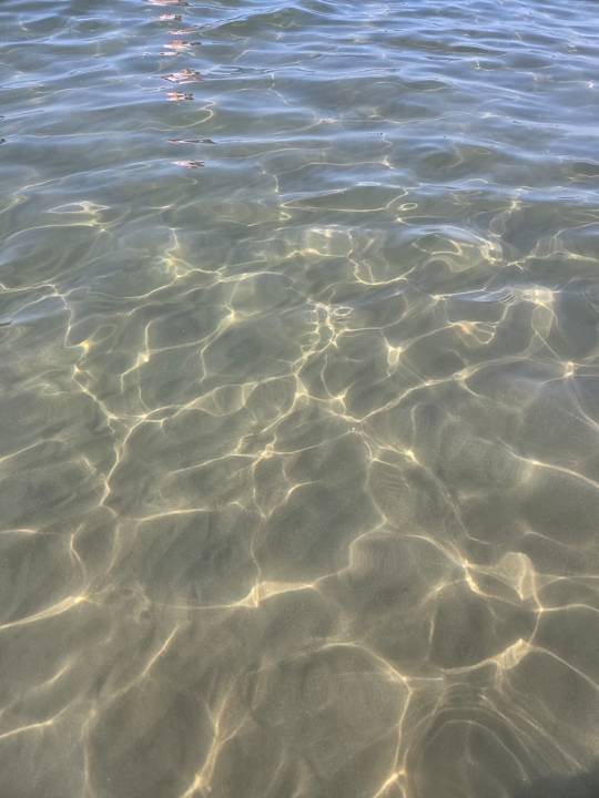 Strand Seashell Resort