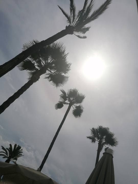 Pool CM Playa del Moro