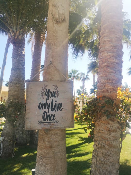 Gartenanlage Meraki Resort (Adults Only)