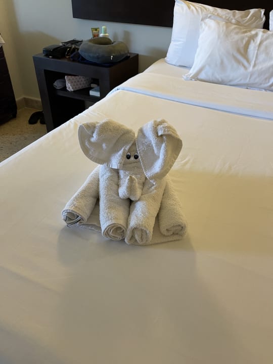 Zimmer Akumal Bay Beach & Wellness Resort