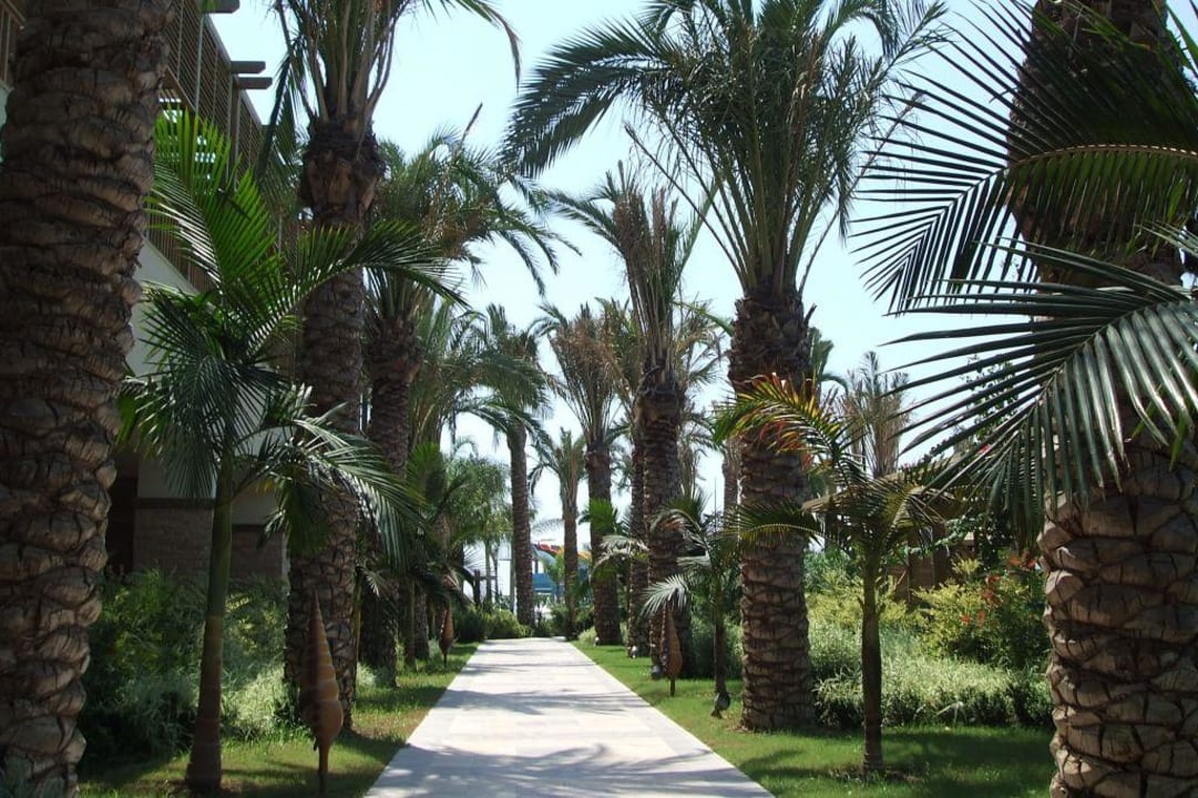 Gartenanlage Sunis Kumköy Beach Resort Hotel & Spa