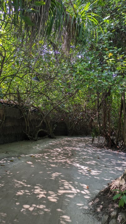 Gartenanlage Adaaran Select Meedhupparu Island Resort - Premium All Inclusive