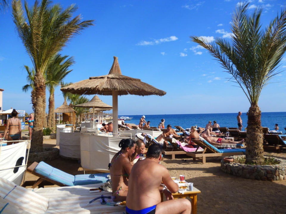 Strand im Pick Albatros Pickalbatros Aqua Park Resort - Hurghada