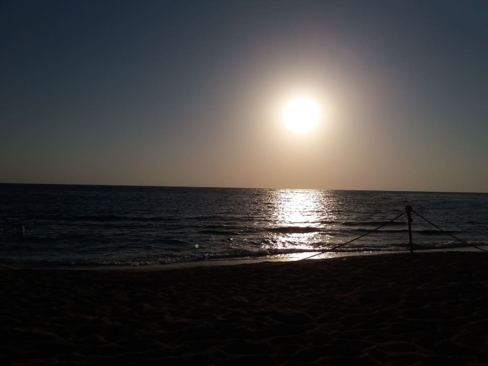 Ausblick Coral Sun Beach